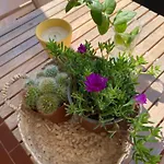 A Clube Da Rocha Bloco 1 * Portimão