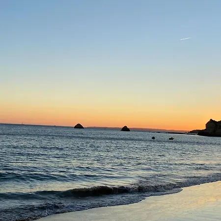 Apartamento A Clube Da Rocha Bloco 1