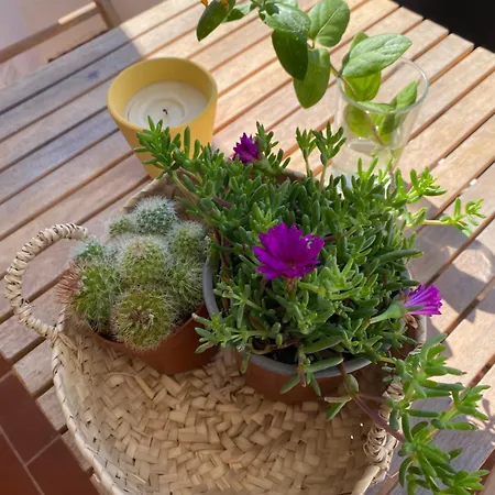 A Clube Da Rocha Bloco 1 * Portimão